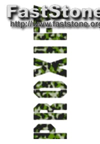 Spyzie Erfahrungen Forum